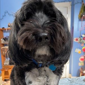 Meet your Posher, Emma